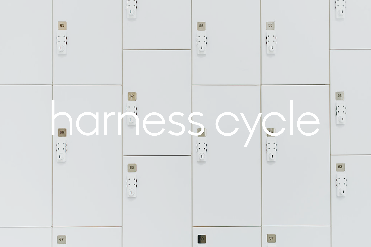 StudioofChristineWisnieski_HarnessCycle_1.png
