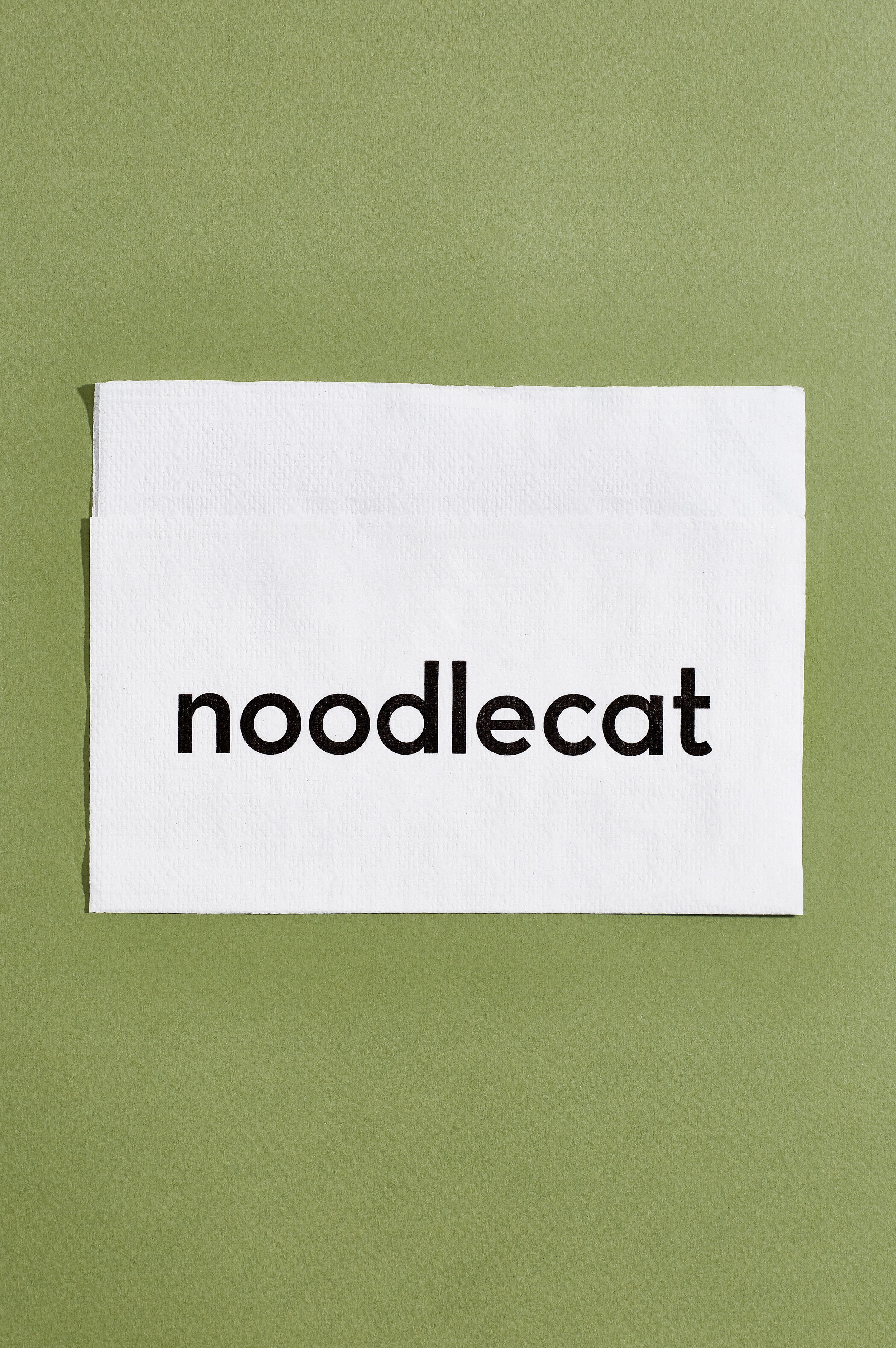 StudioofChristineWisnieski_Noodlecat_9.png