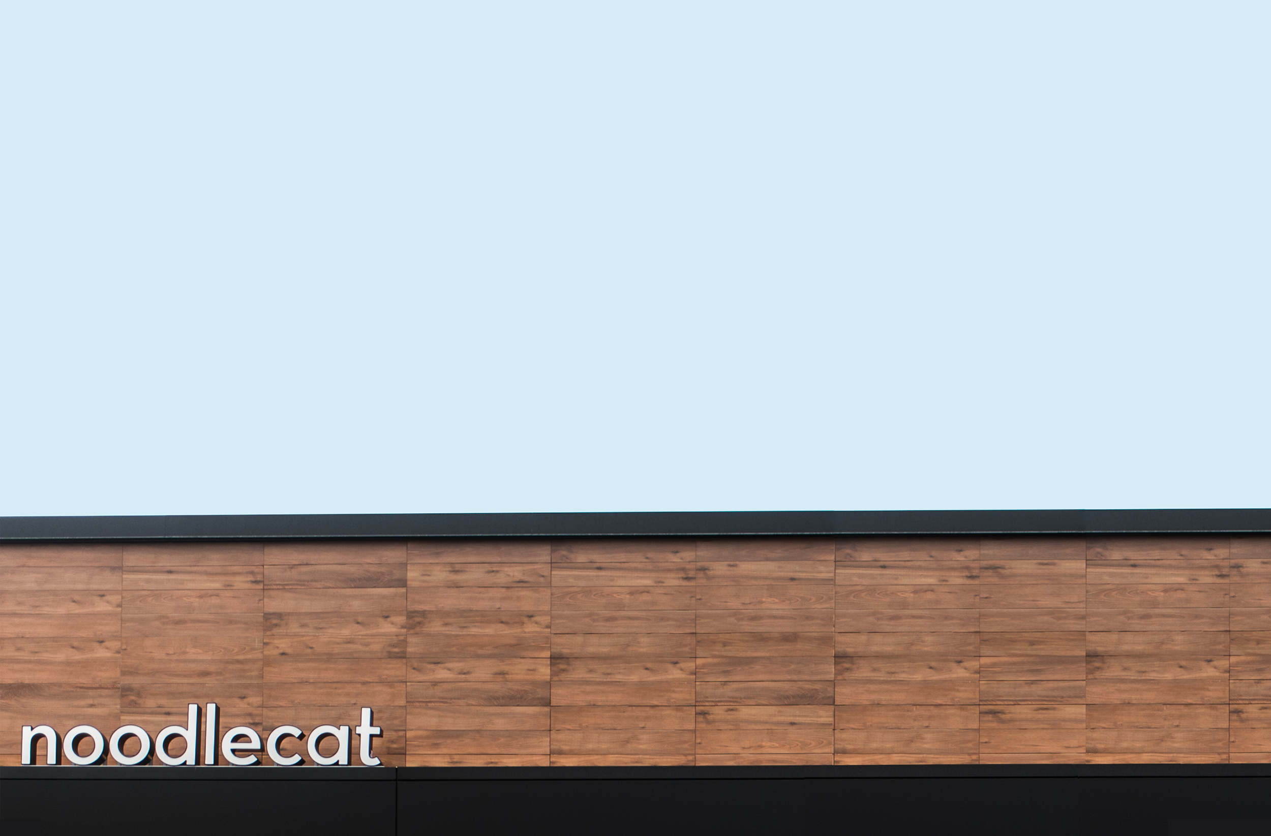StudioofChristineWisnieski_Noodlecat_12.png