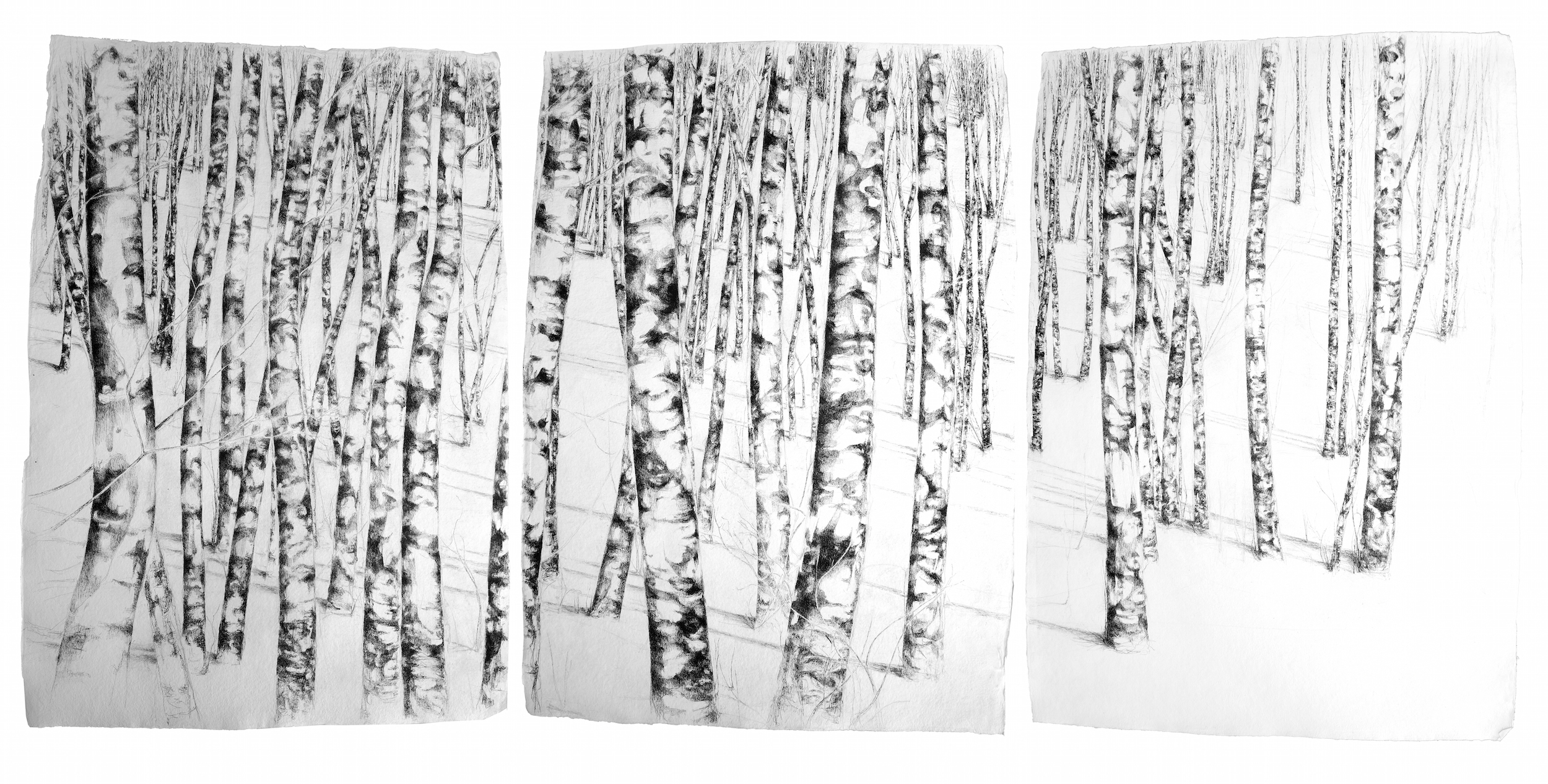  Title: Lloyd Wright triptych Size: 135 x 300 cm overall Medium: pencil and ink on handmade paper 