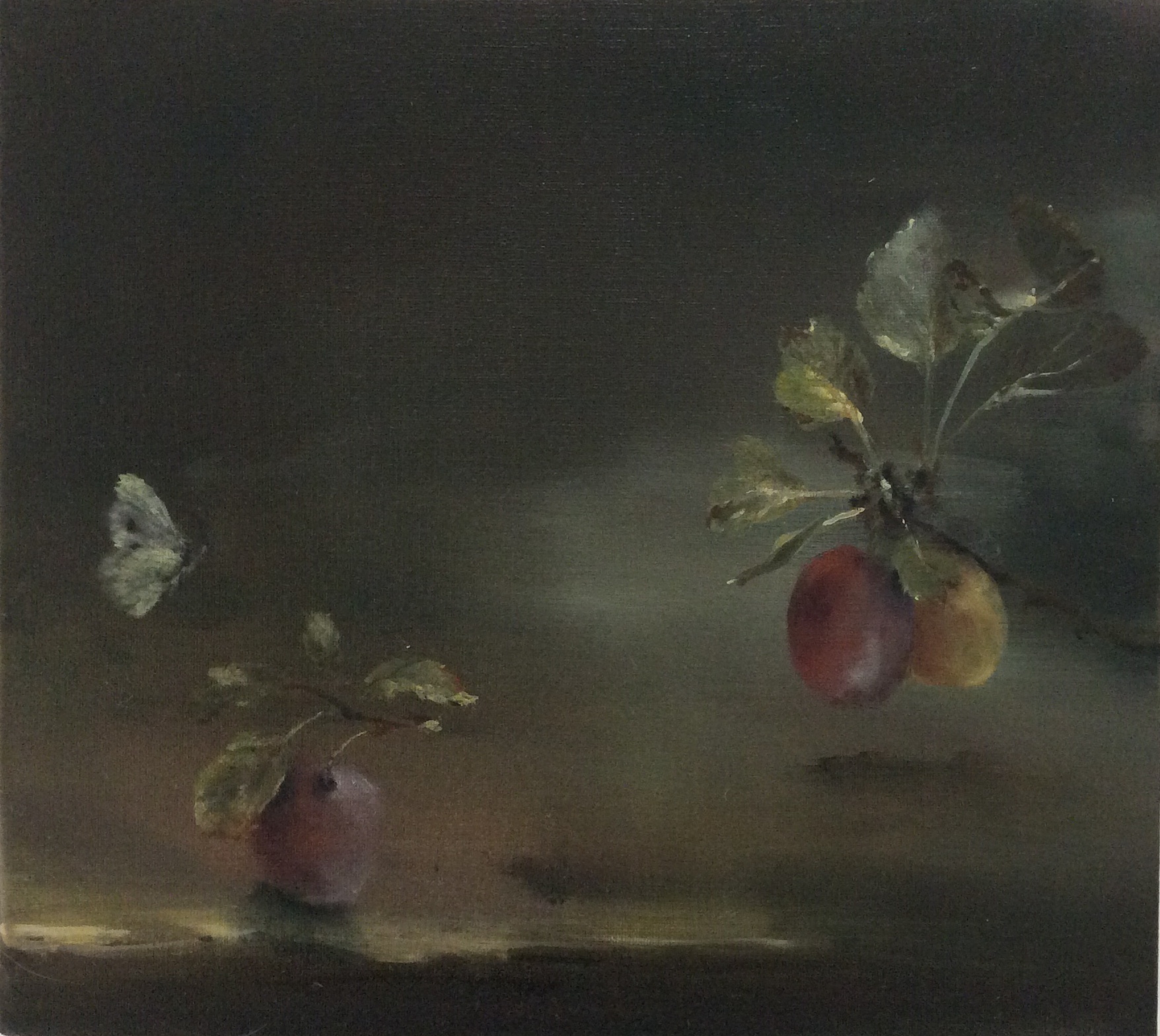 Prunus