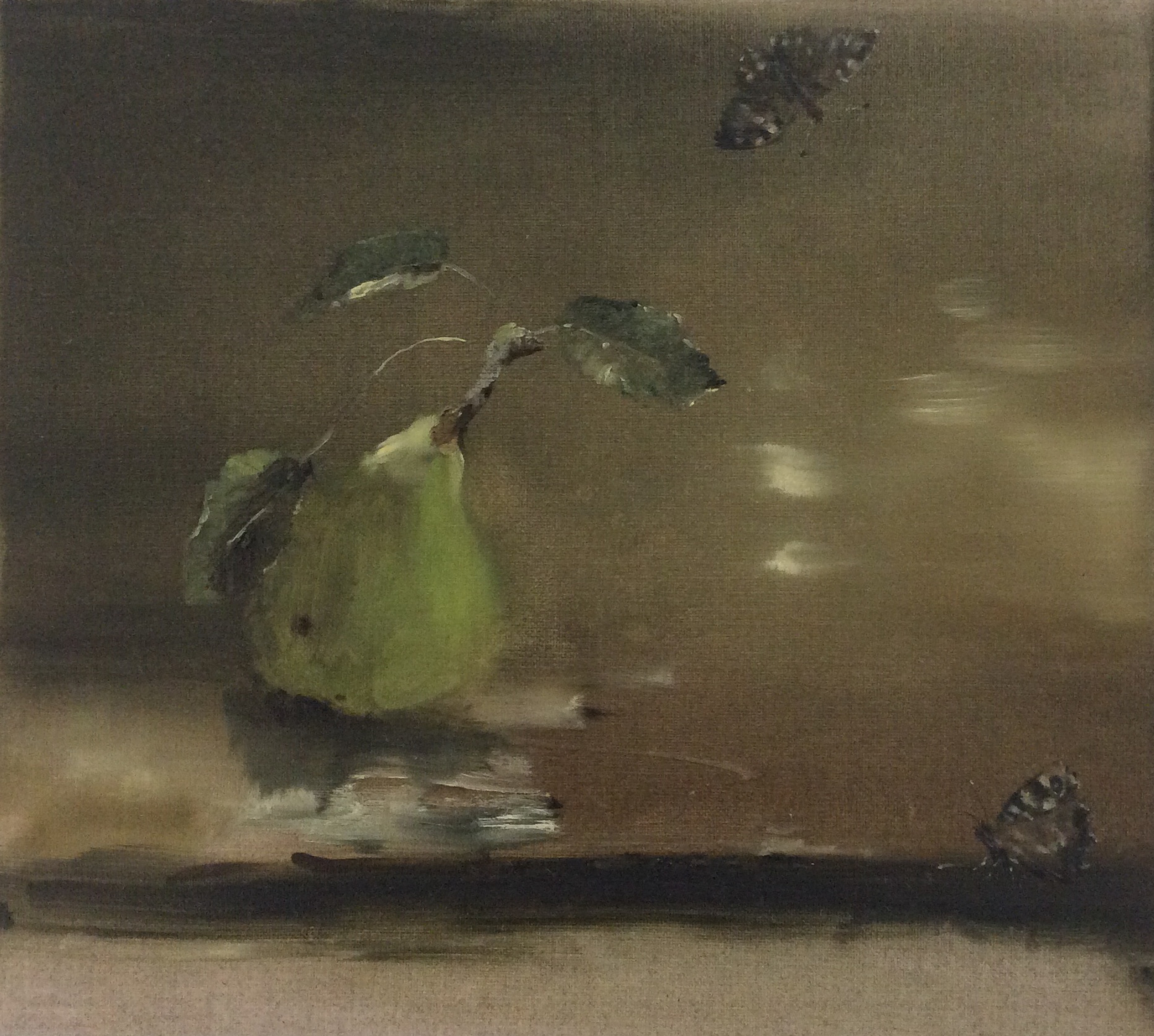Speckled Wood II