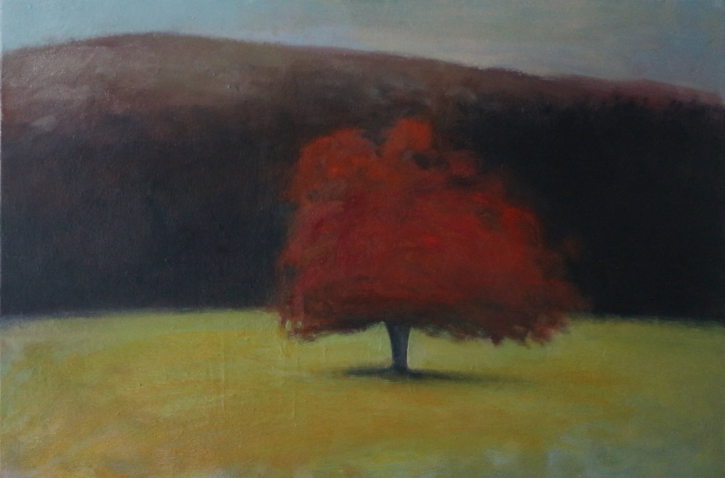  Title: Hill, Tree and the Curve of the Field Medium: oil on canvas Size: 40 x 60 cm  