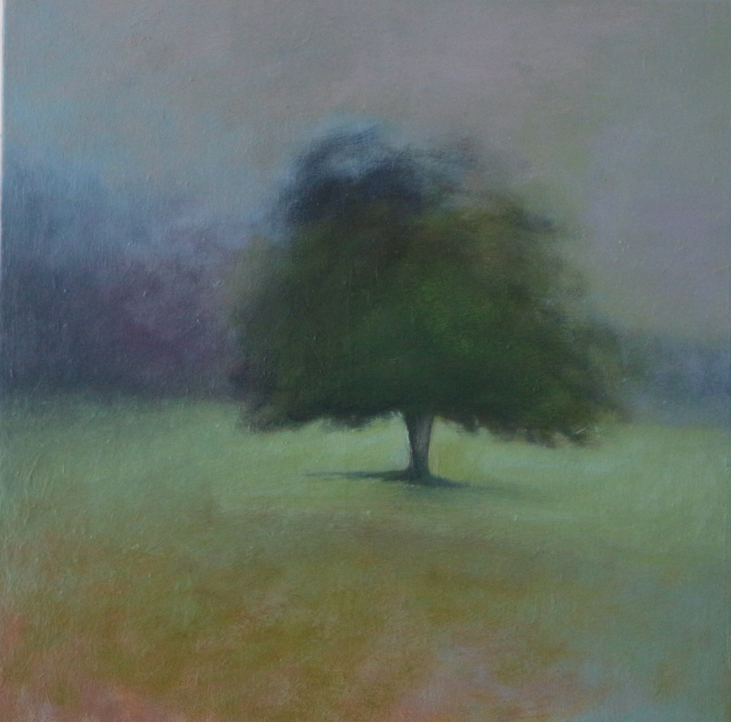  Title: Field Note Medium: oil on canvas Size: 36 x 36 cm  