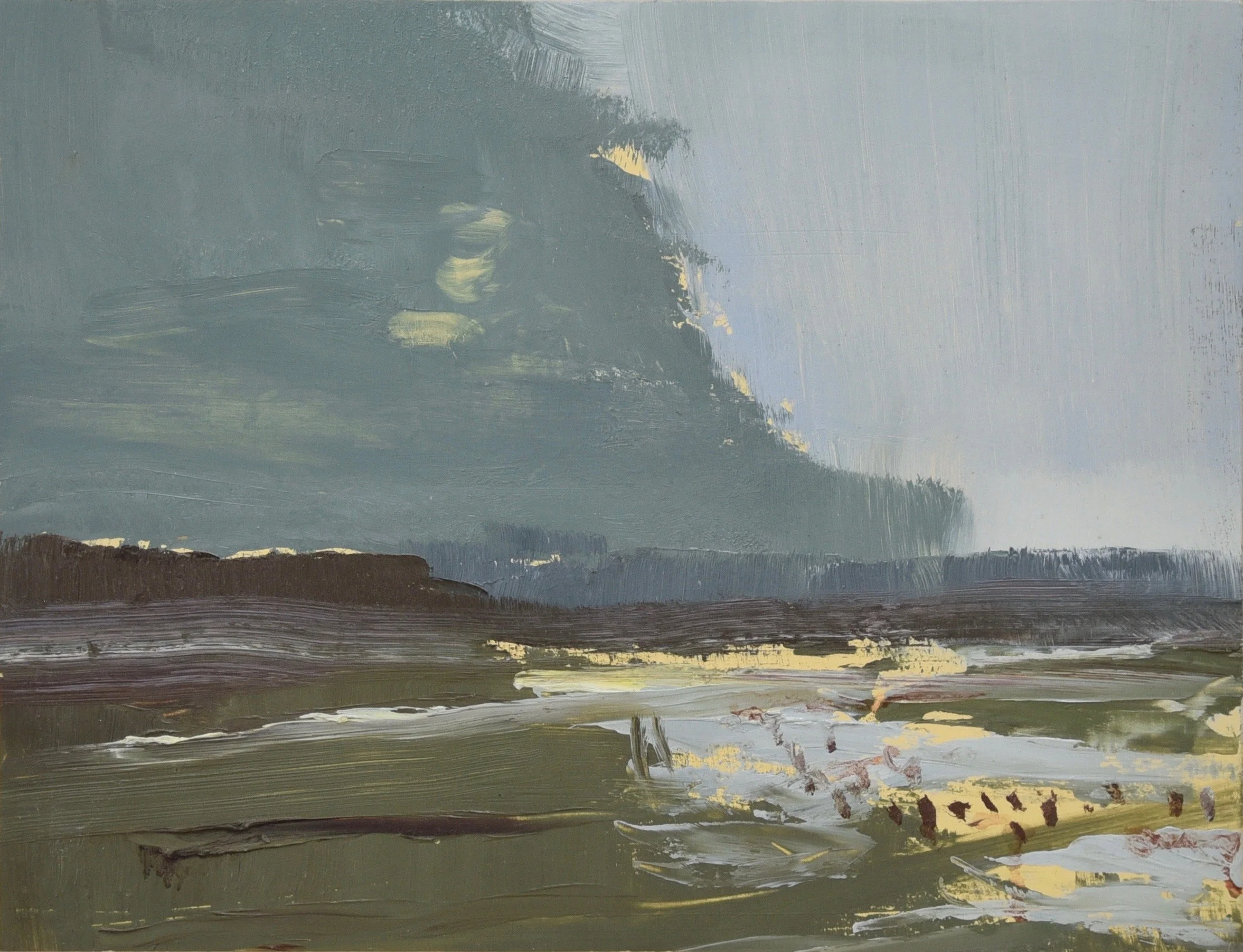  Wild Brooks Winter Sun     