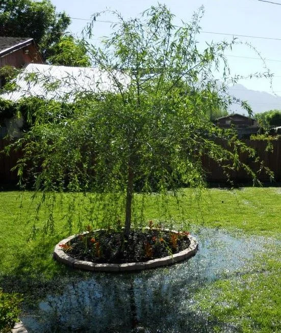 Low Spots and Standing Water