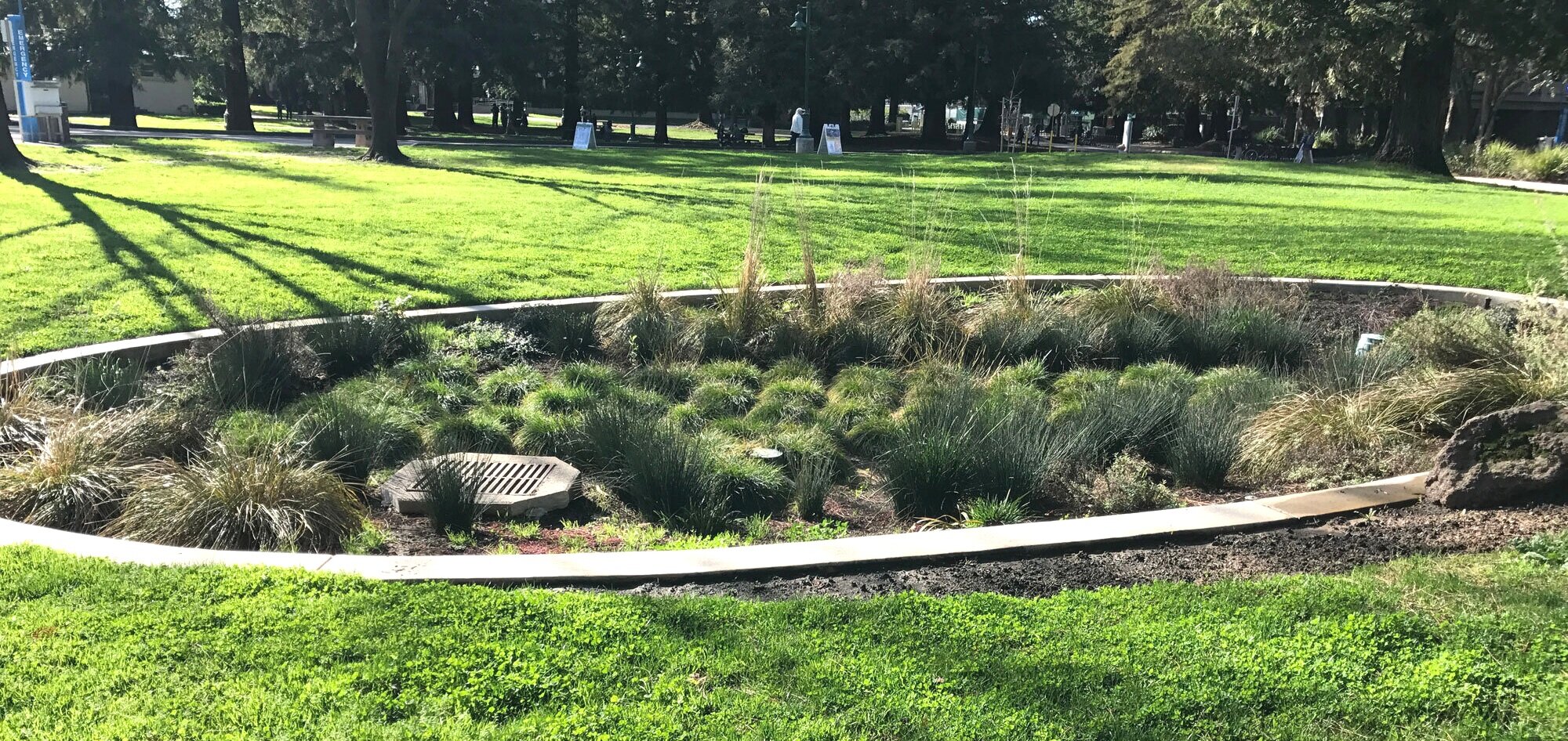 Rain Garden Design and Installation — NC Drainage, Yard and Lawn Drainage  Experts