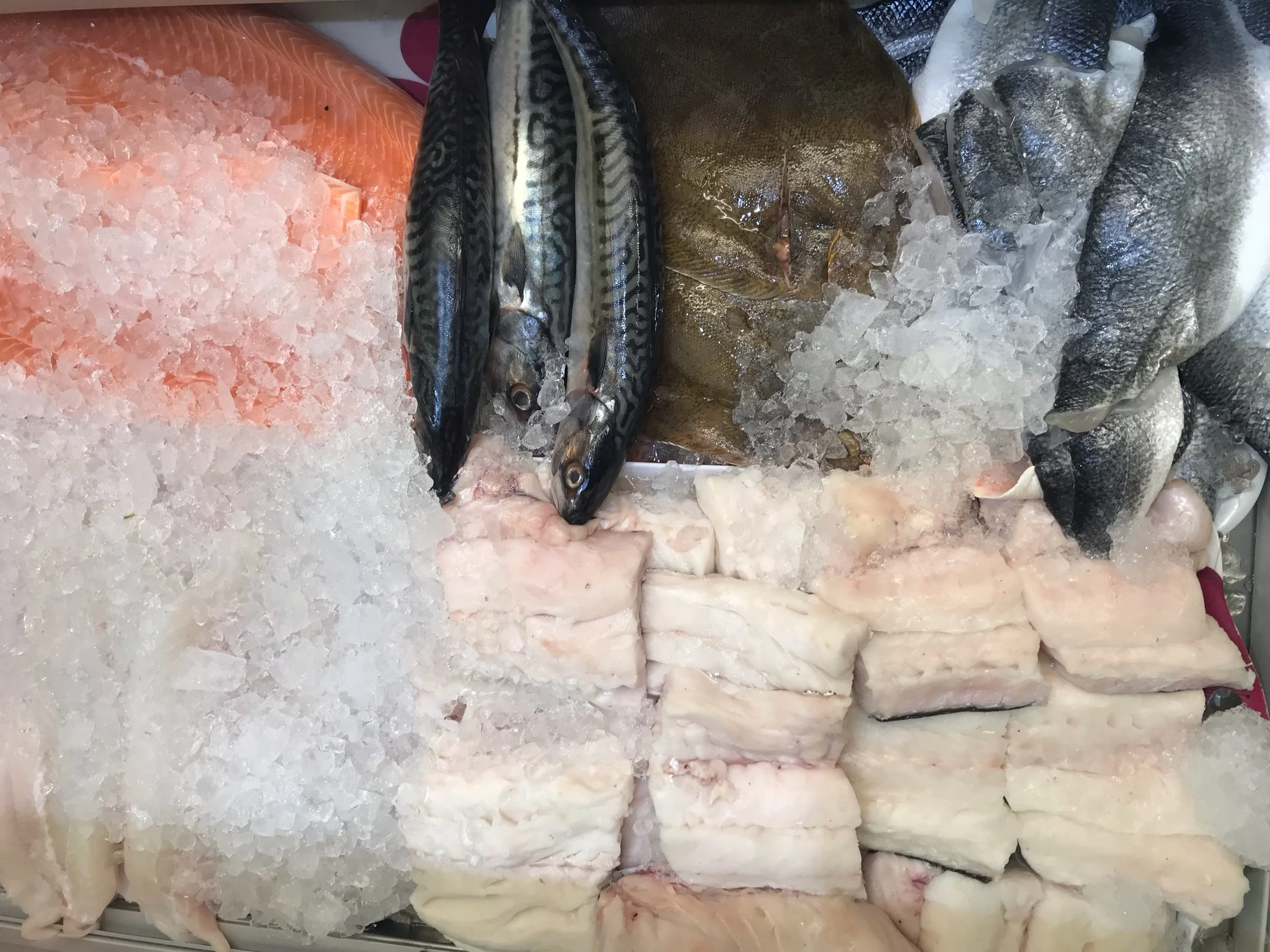 Excellent quality fresh fish, cod, hake, lemon sole, sea bass and mackerel collected this morning at 3.30am. Also 3 fresh chickens a tenner