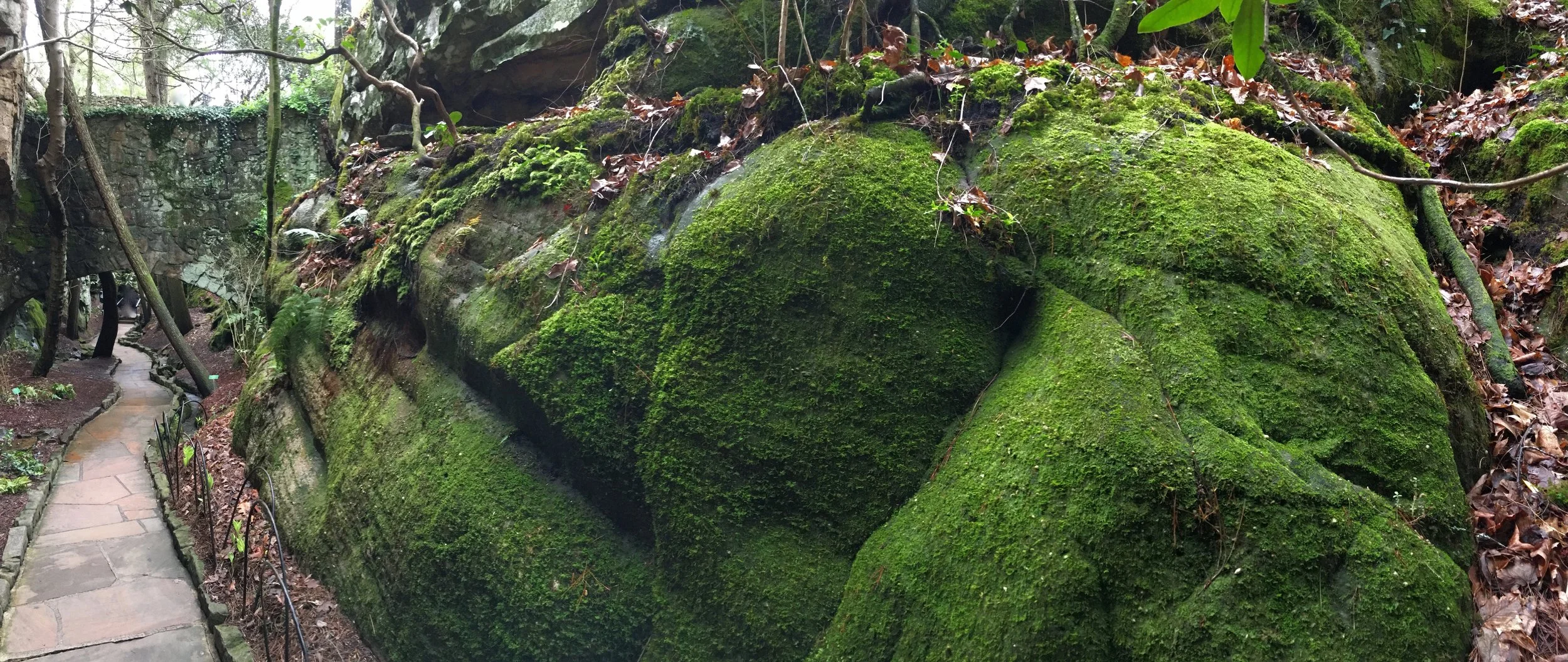 MossWall30mar44.jpg