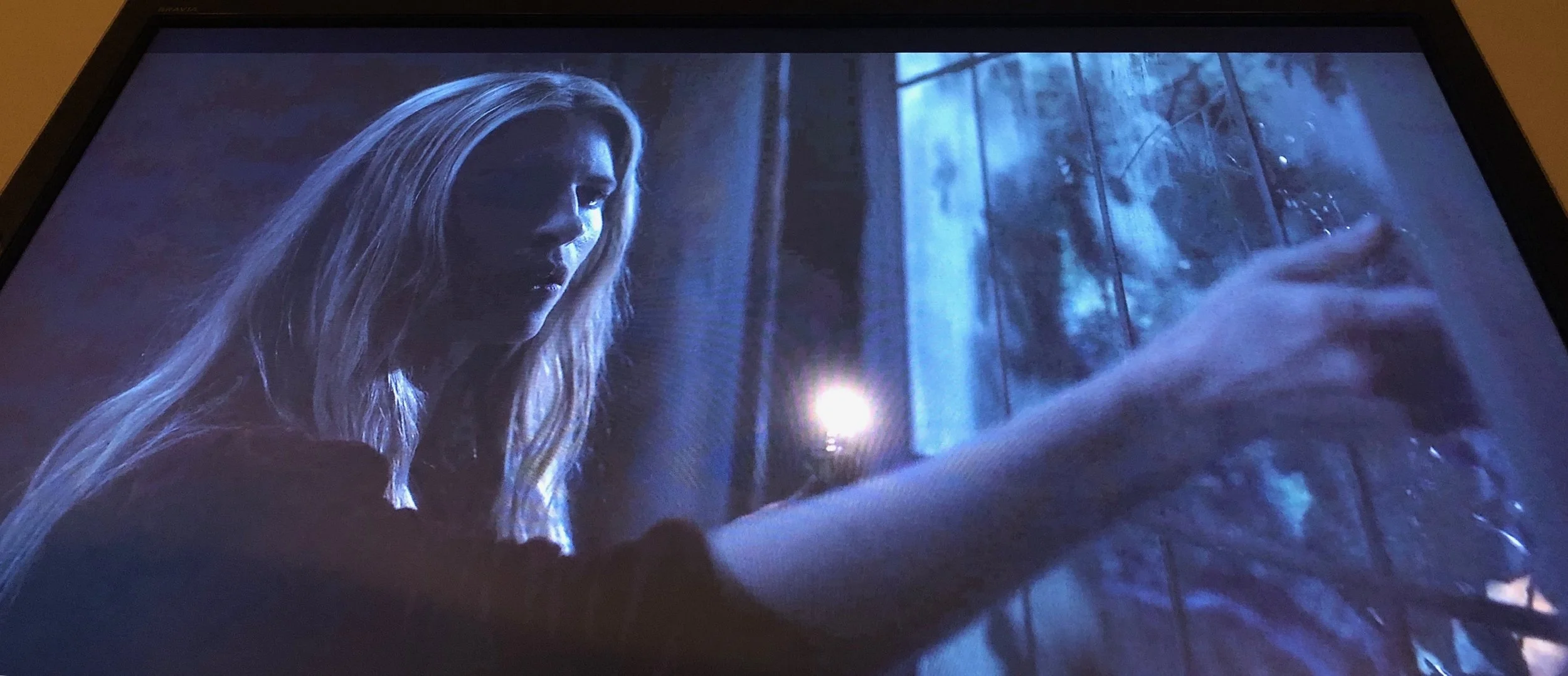 IMAGE CREDIT: The OA , Season 2