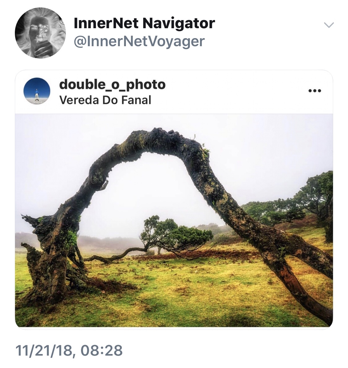 IMG_0318.jpeg