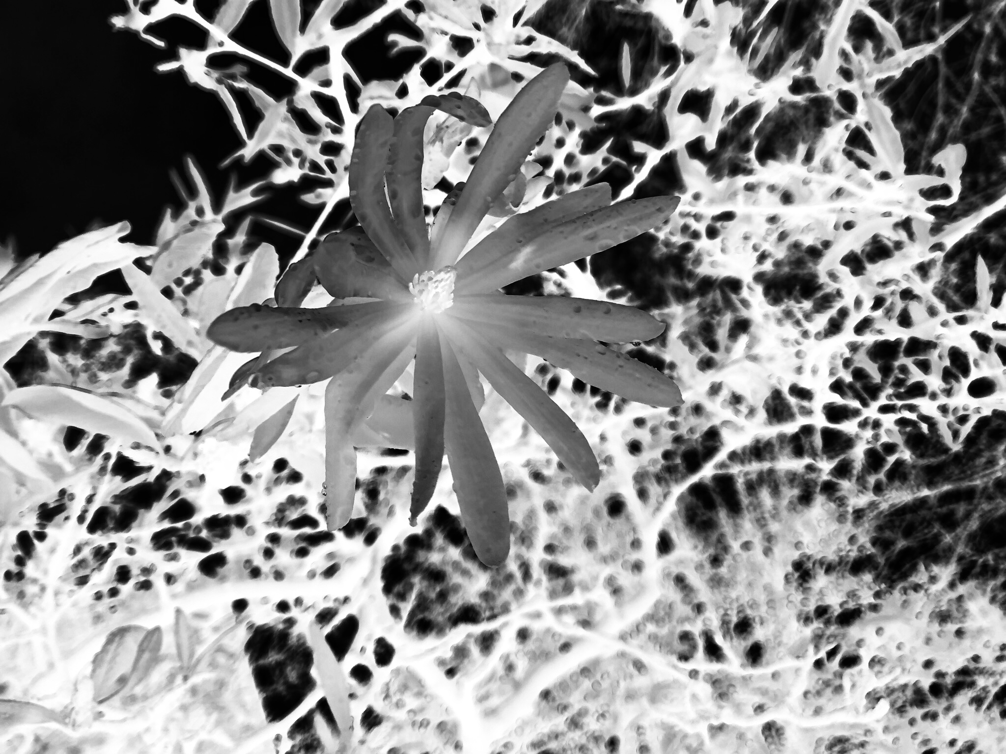 B89E00BE-4715-40A0-B419-7AB35BCDE977.jpeg