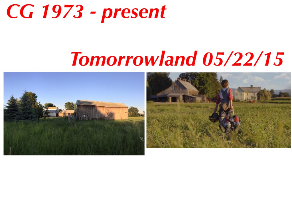 IMG_8950.jpeg