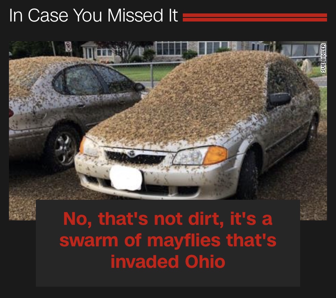 public.jpeg