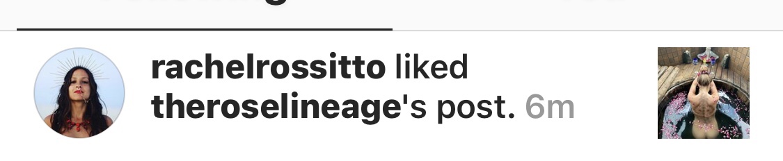 public.jpeg