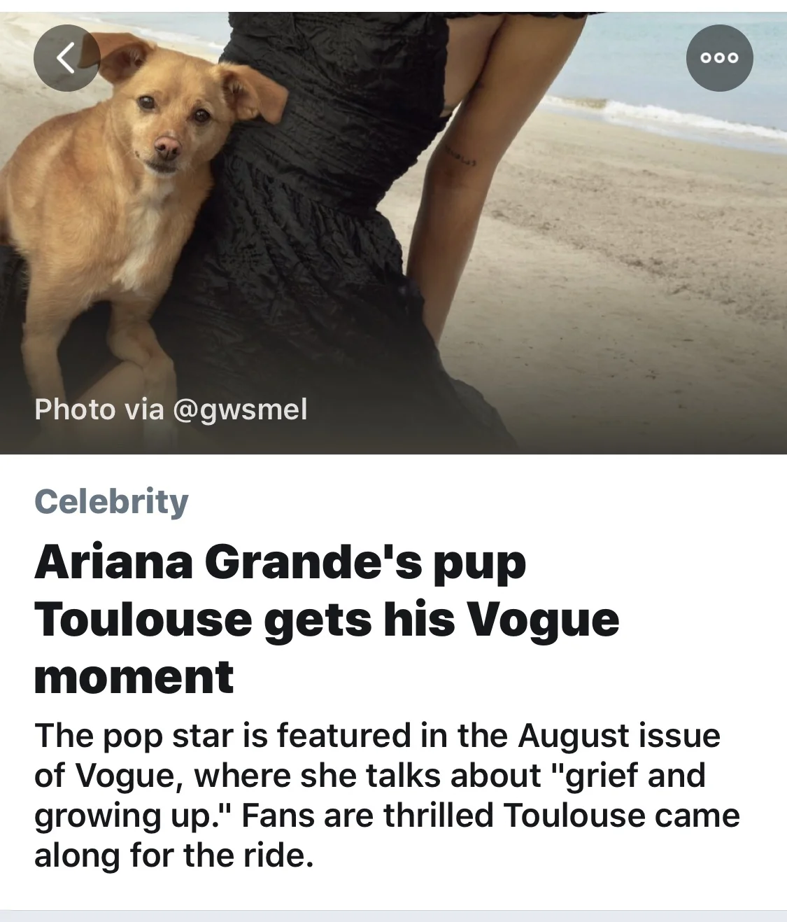 public.jpeg