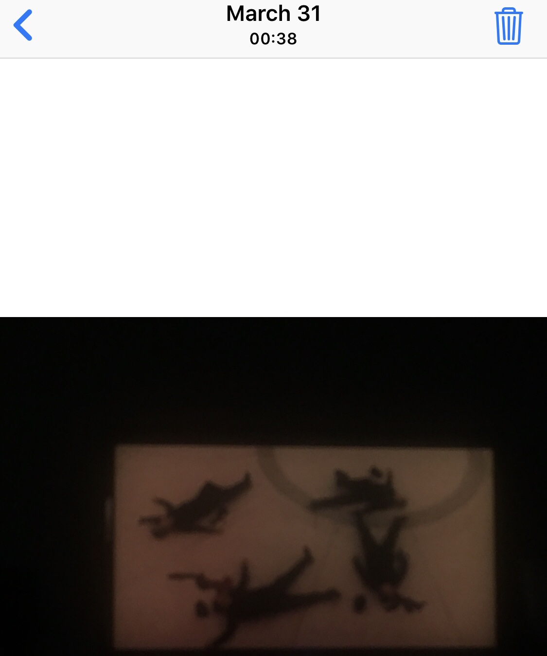 public.jpeg