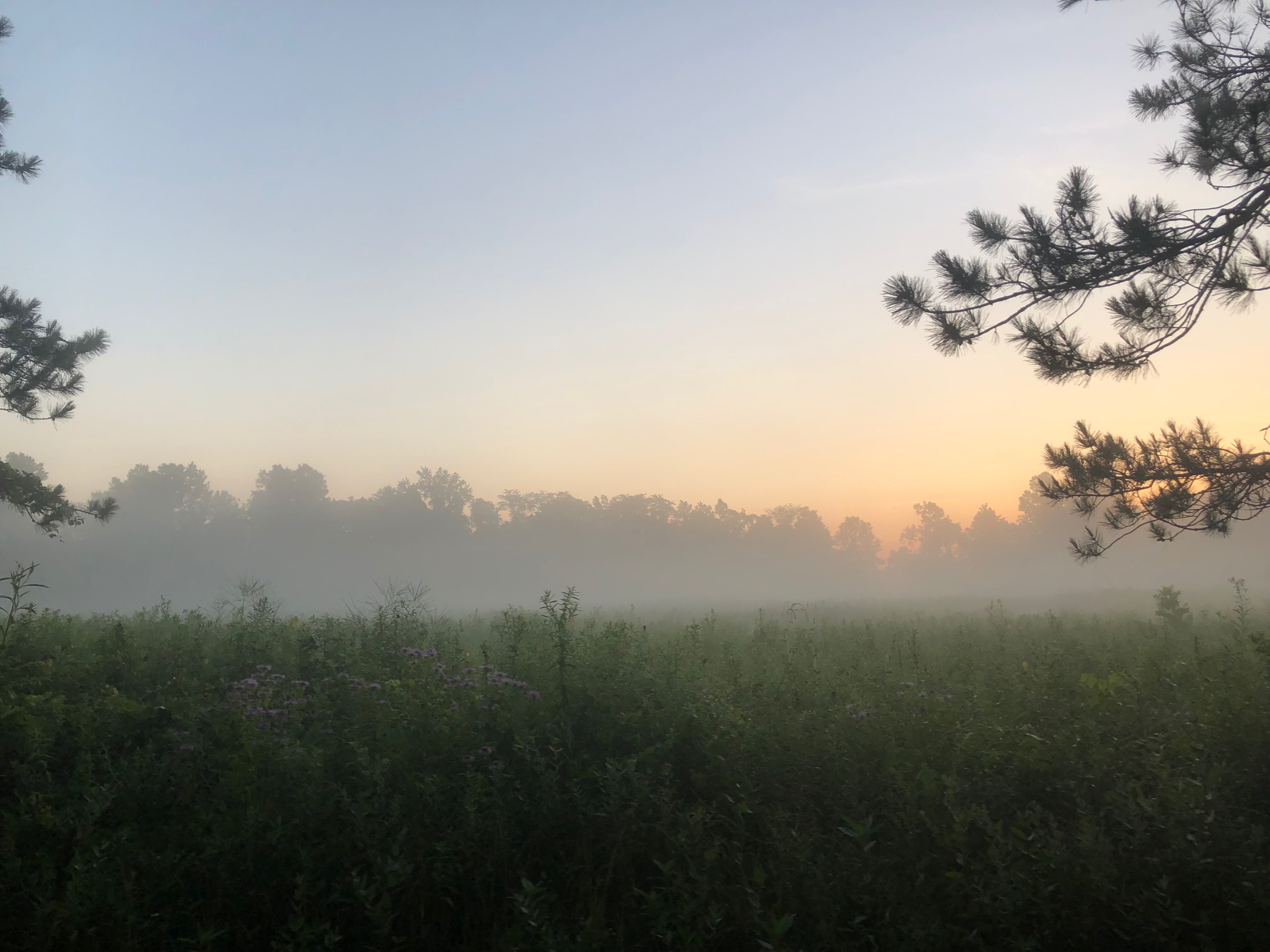06:26 biking on park trail