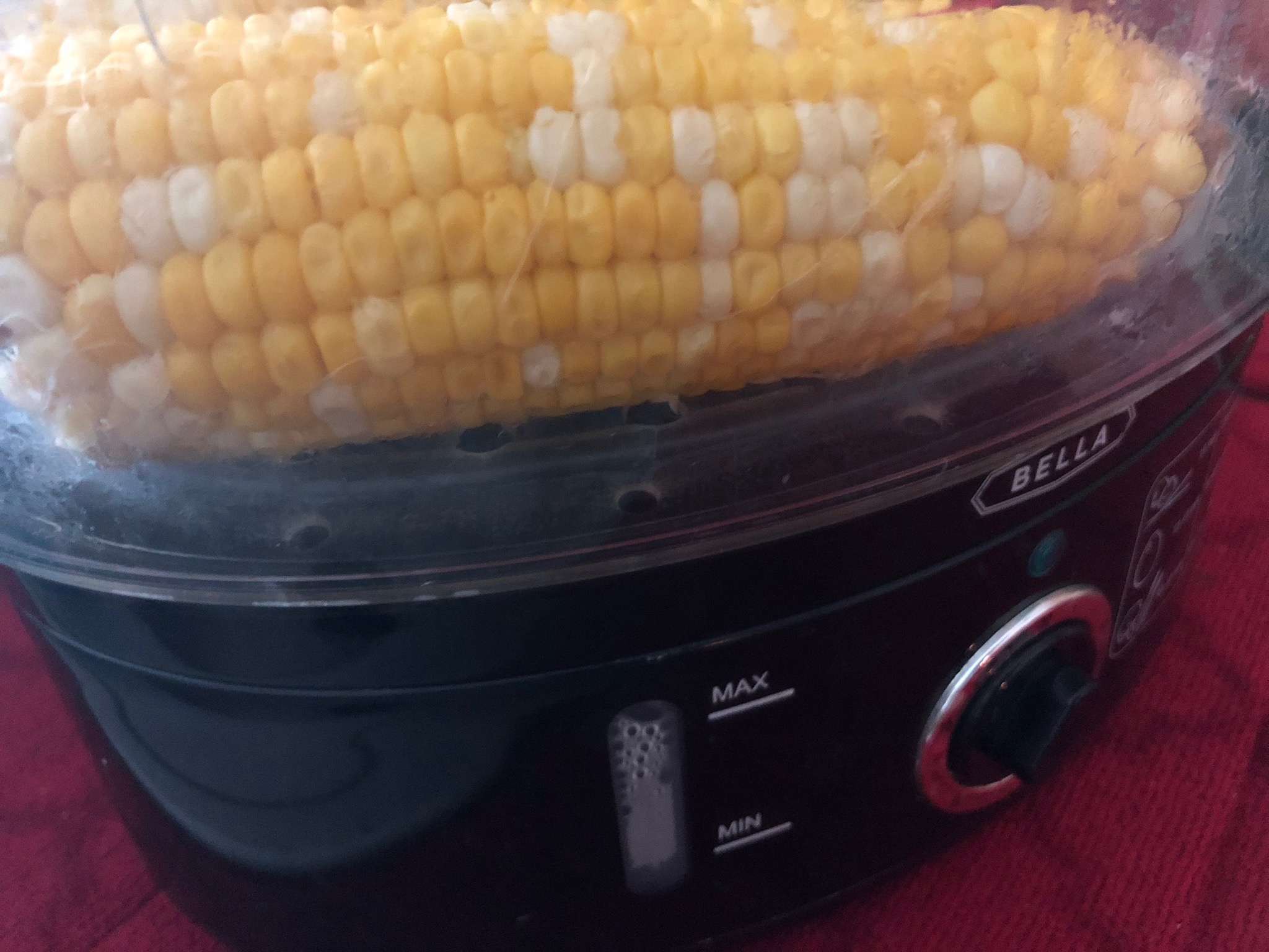 IMG_0062.jpeg