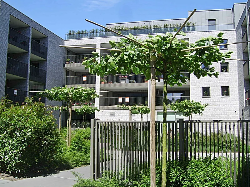 5.JPG