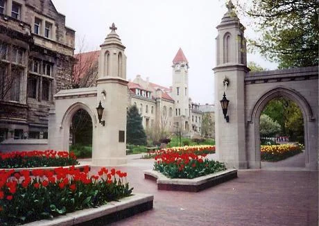 iu.jpg