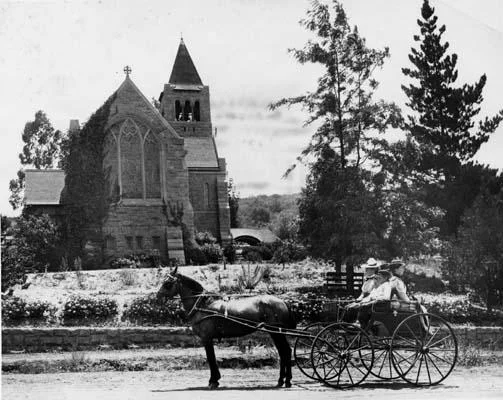 horse_and_buggy.jpg