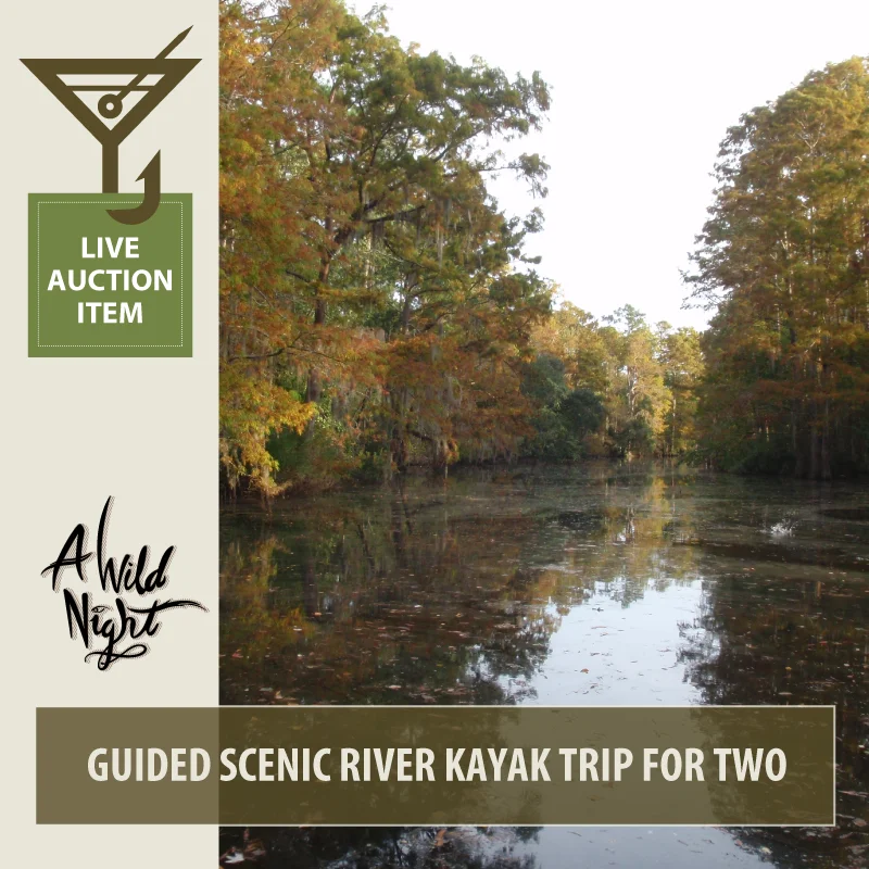 2019_Live_ScenicRiver.jpg
