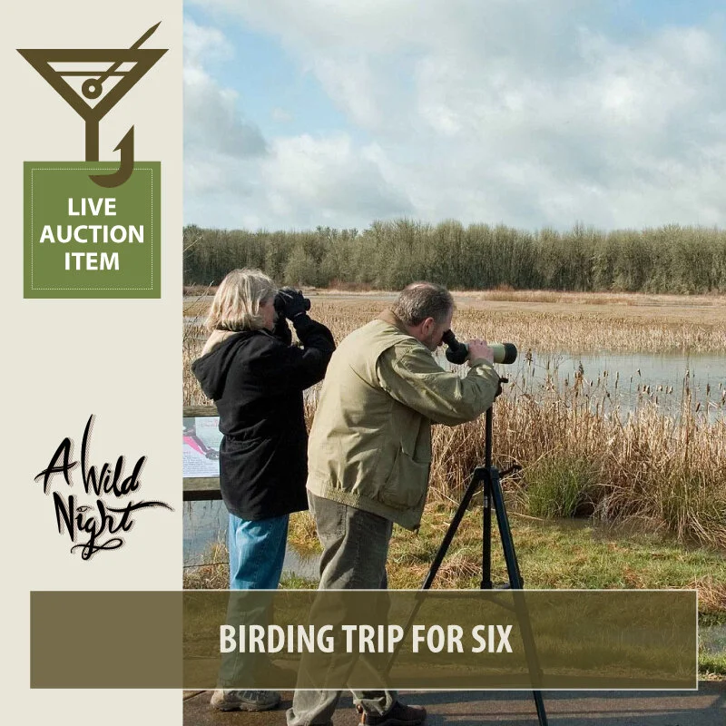 2019_Birding-Trip-for-Six.jpg