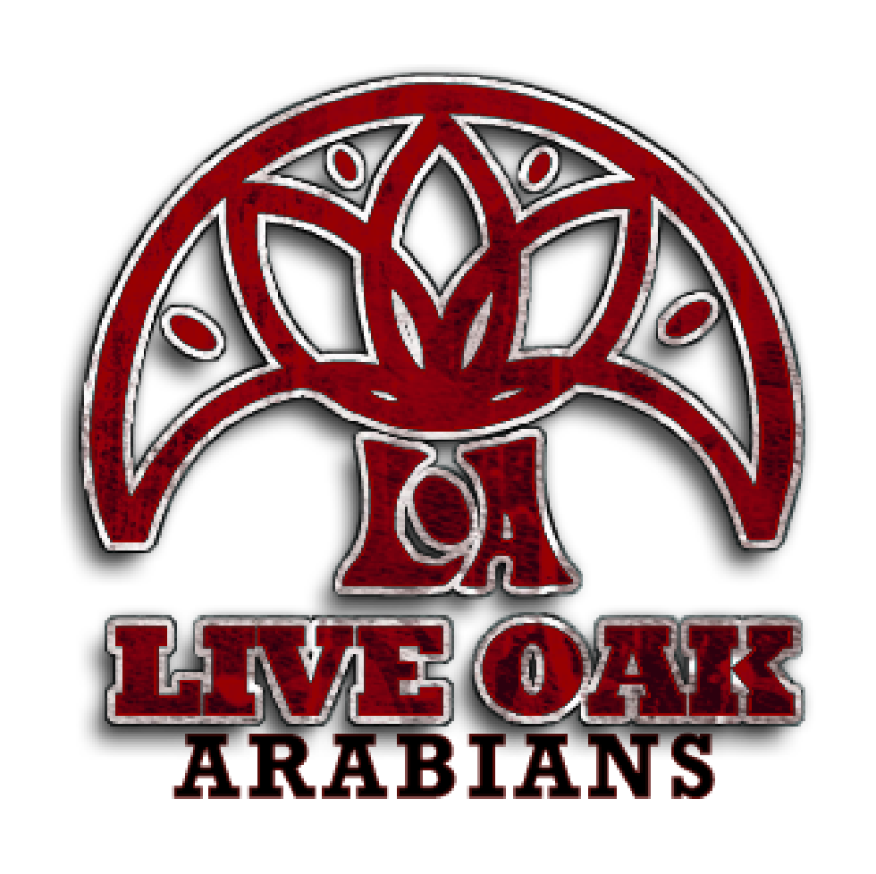 LiveOakArabians_logo-01.png