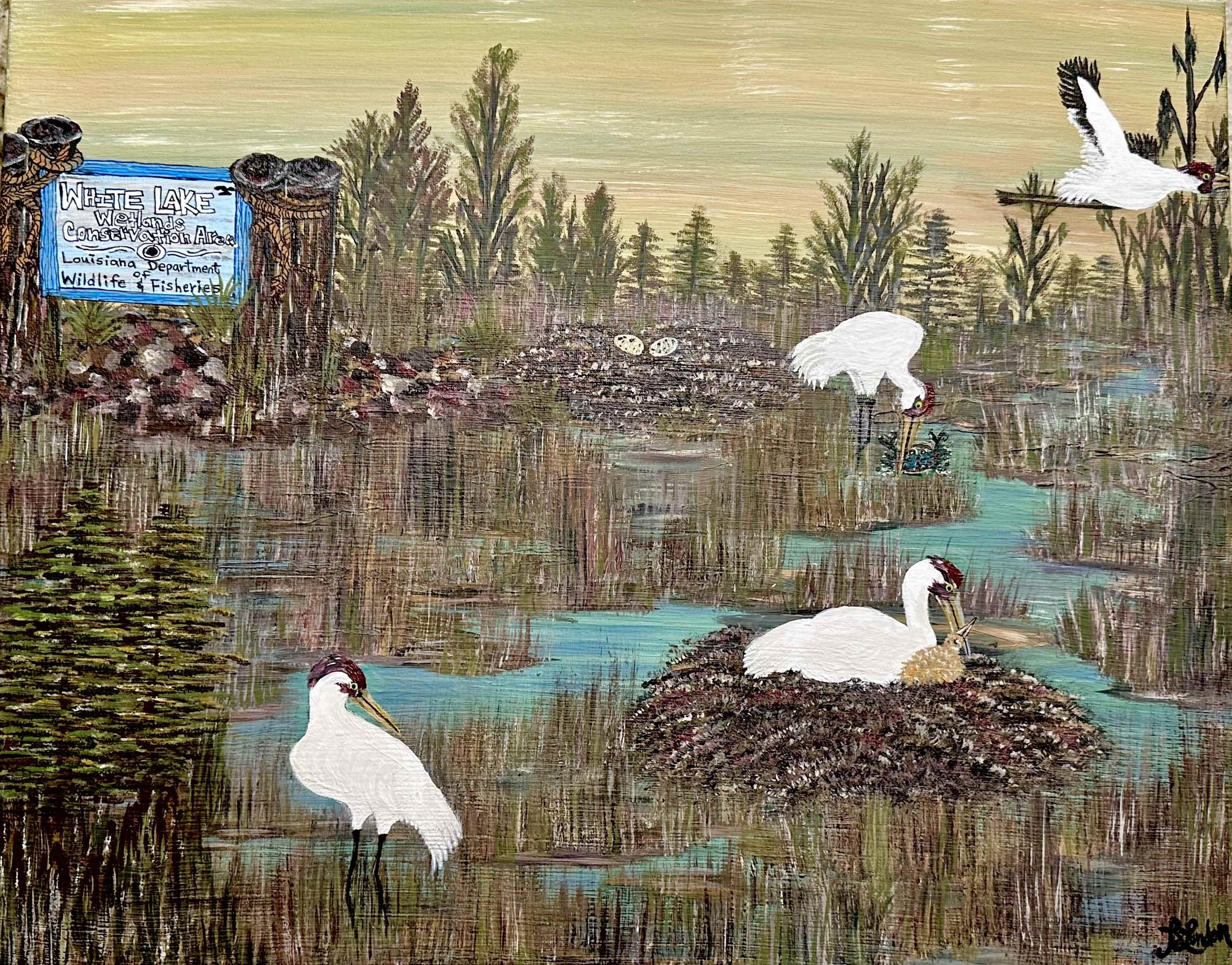 #206 White Lake Whooping Cranes
