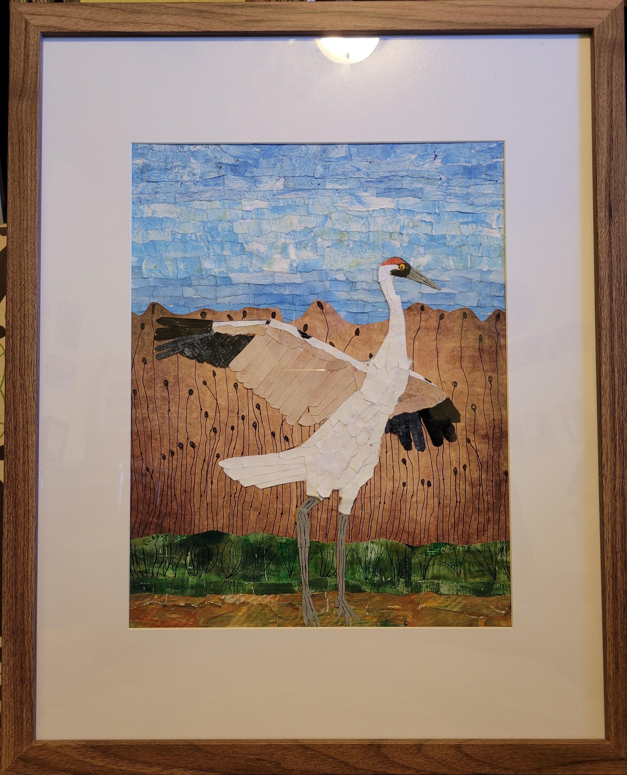 #302 Whooping Crane Collage