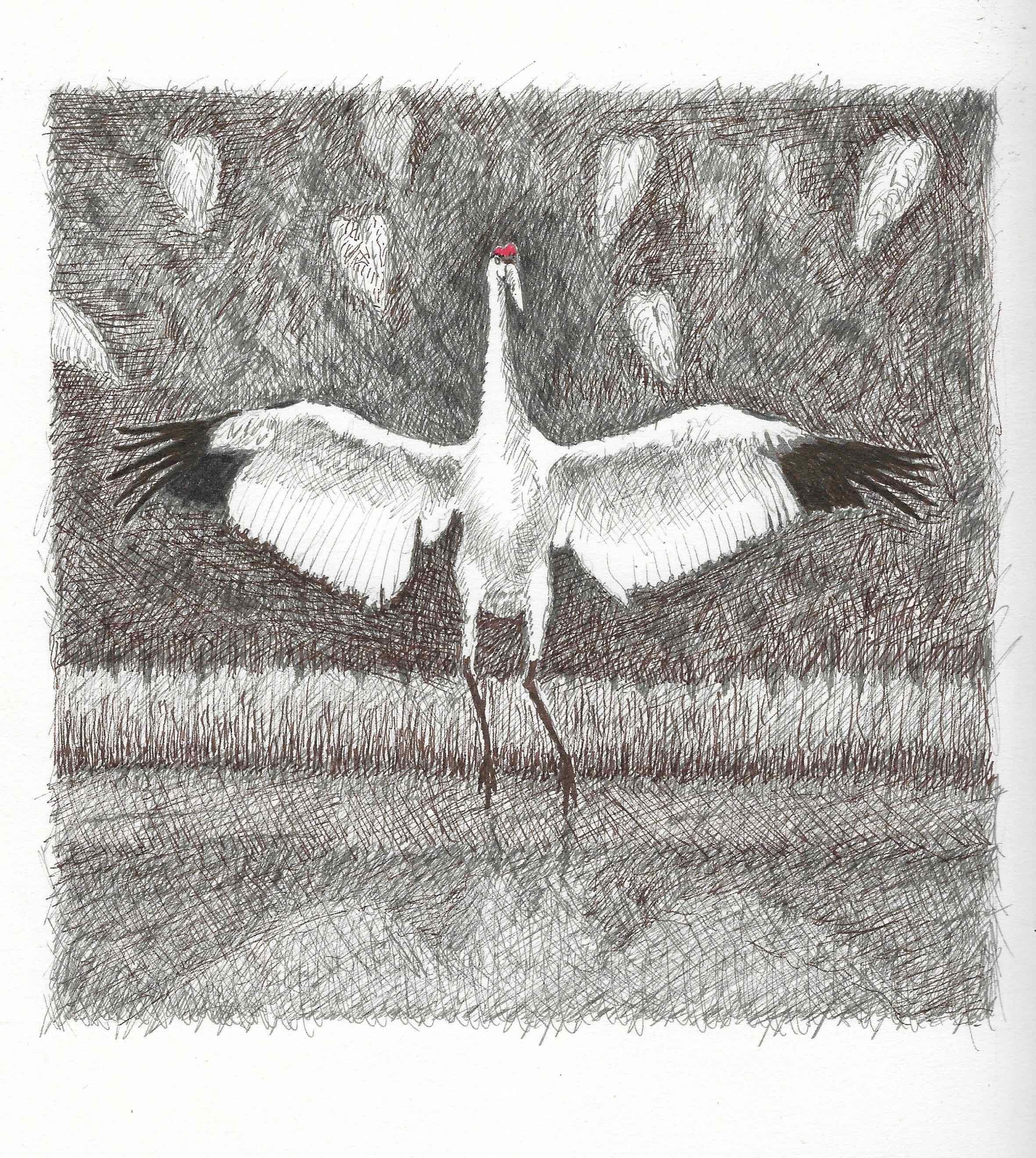 #327 Crane and Egrets Haunt