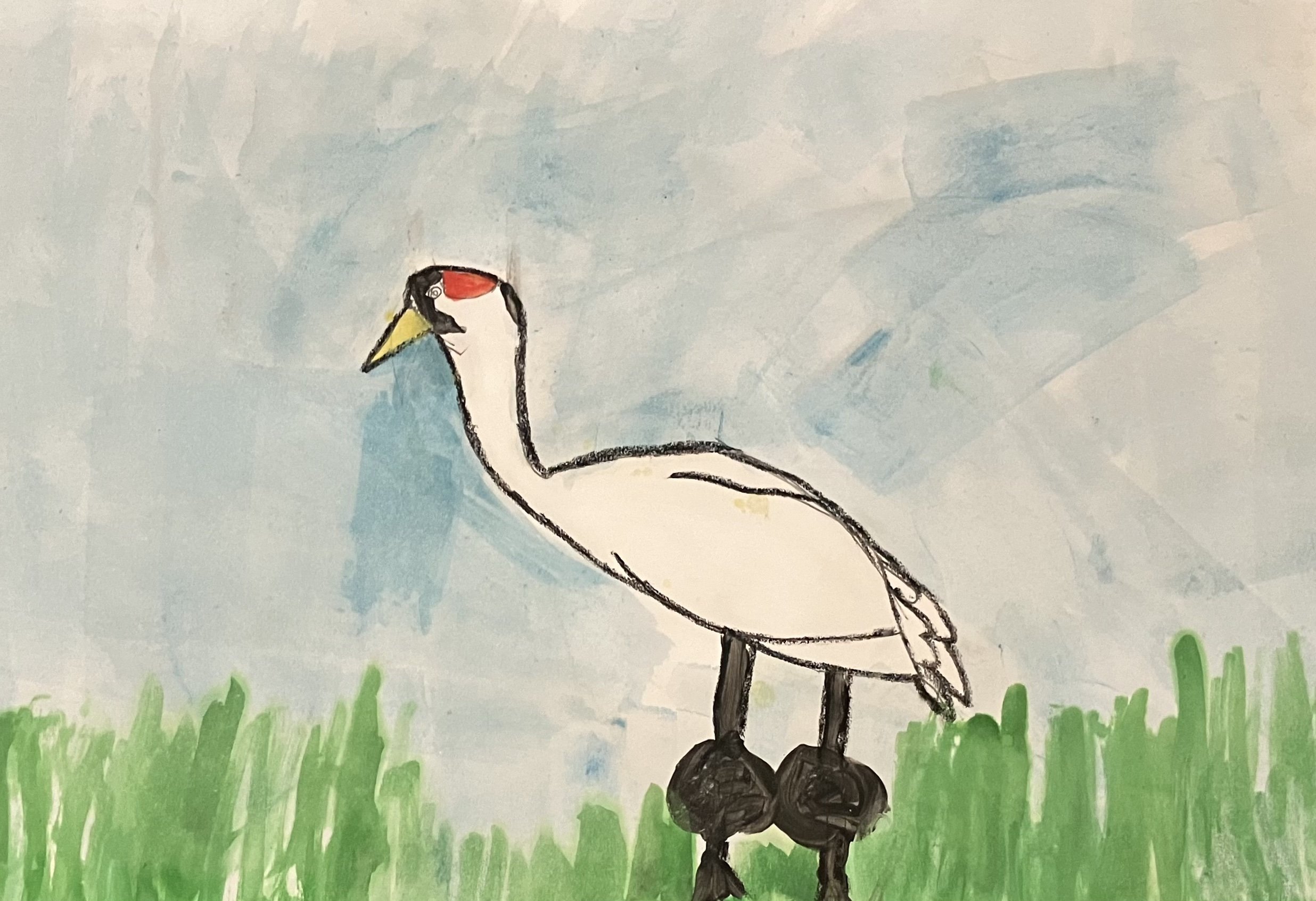 #506 The Whooping Crane