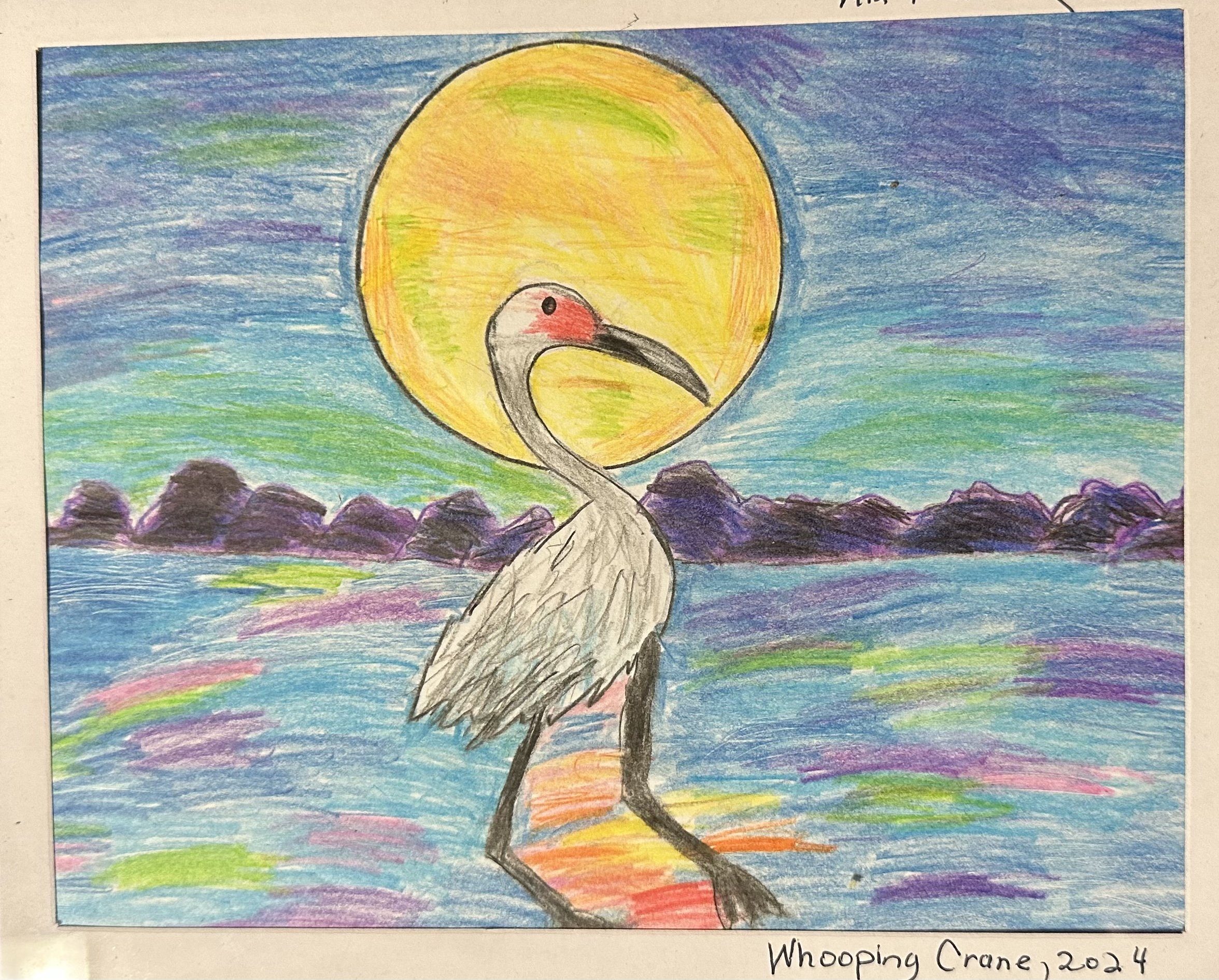 #509 Whooping Crane