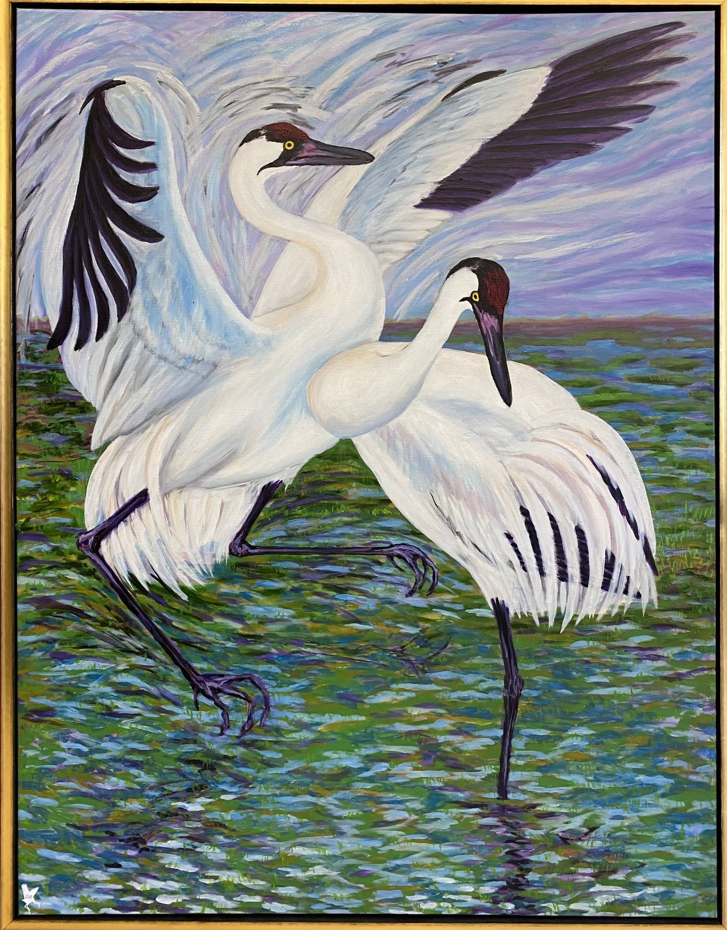 #210 Courtship of the Whooping Cranes