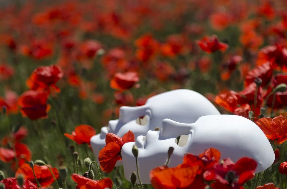 Two neutral masks in a field of red poppies.