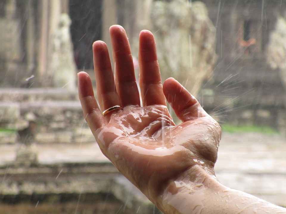 A Hand Softening into the Rain.