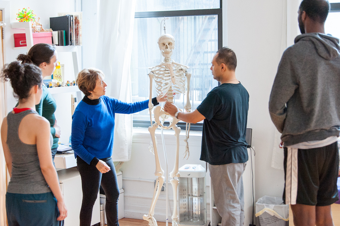 Belinda teaching an Alexander Technique to a group of actors. She demonstrates the thickness of the spine by have students hold a skeleton’s spine in their hand to know they have strength and support.