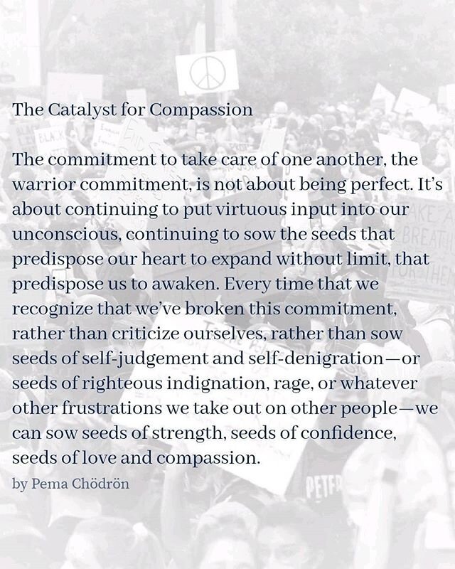 ❤️Holding these words close. Let's take care of one another with a warrior commitment.⠀
⠀
The Catalyst for Compassion by #PemaChödrön⠀
⠀
The commitment to take care of one another, the warrior commitment, is not about being perfect. It&rsqu