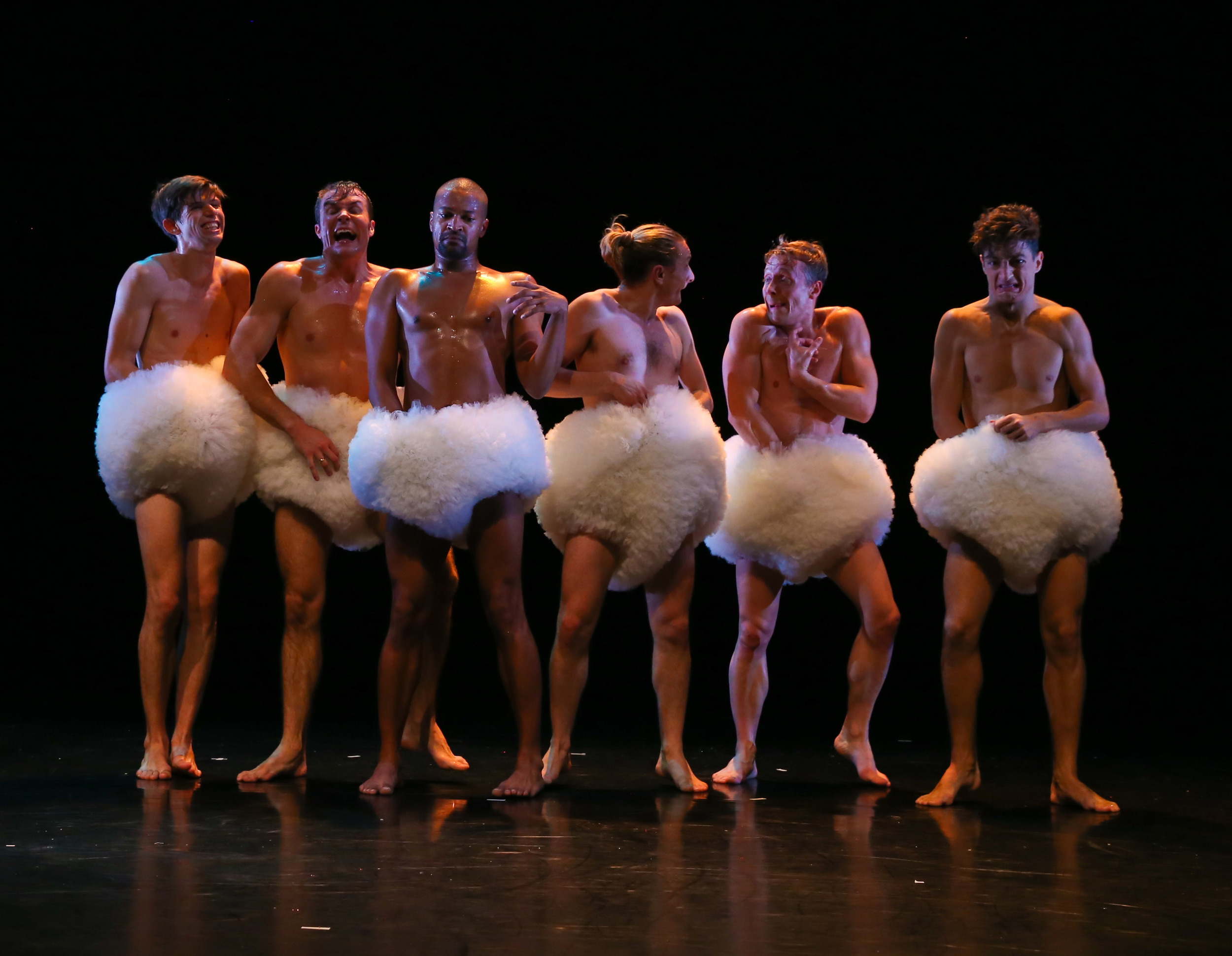 TUTU-3.jpg