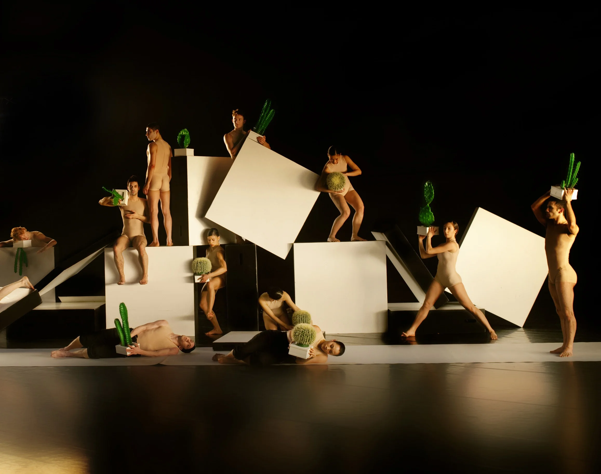 Nederlands Dans Theatre 2