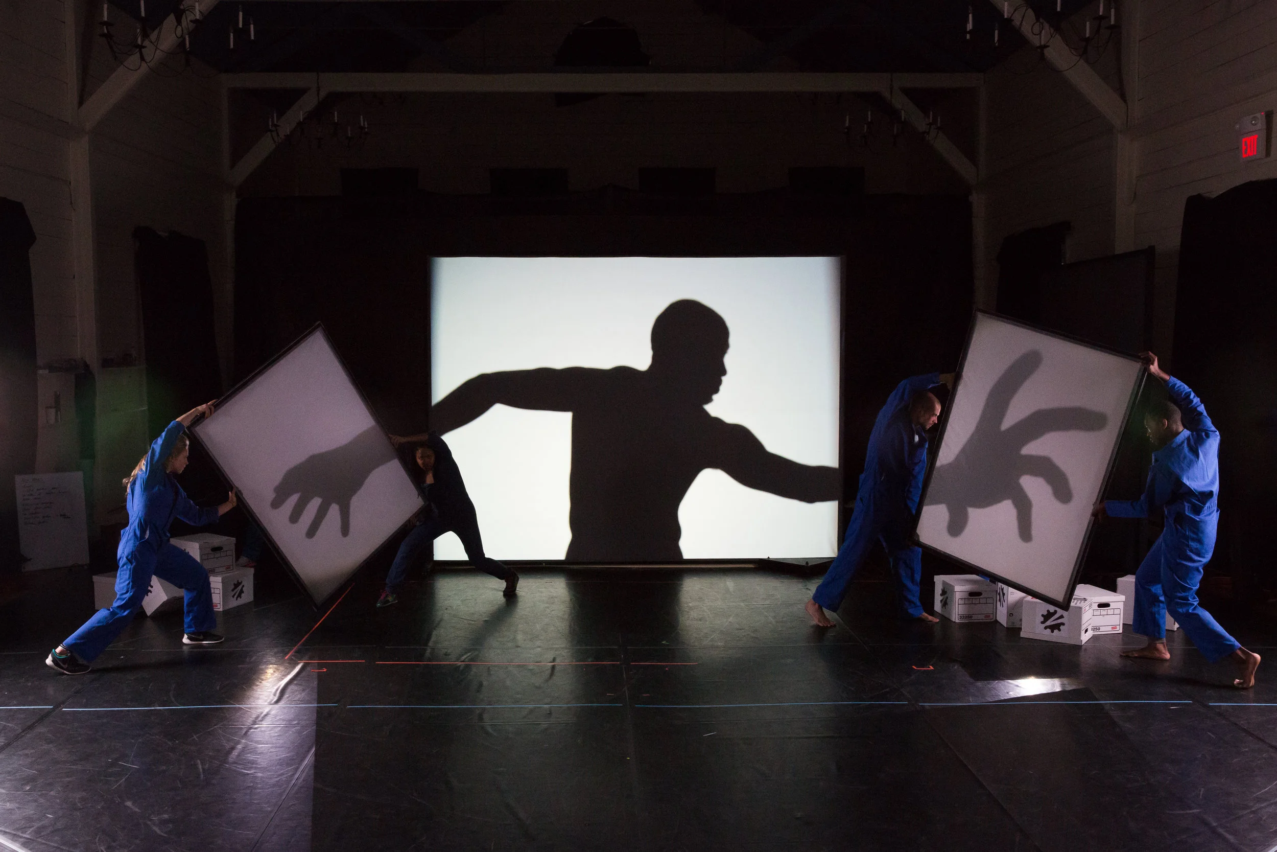 Pilobolus 