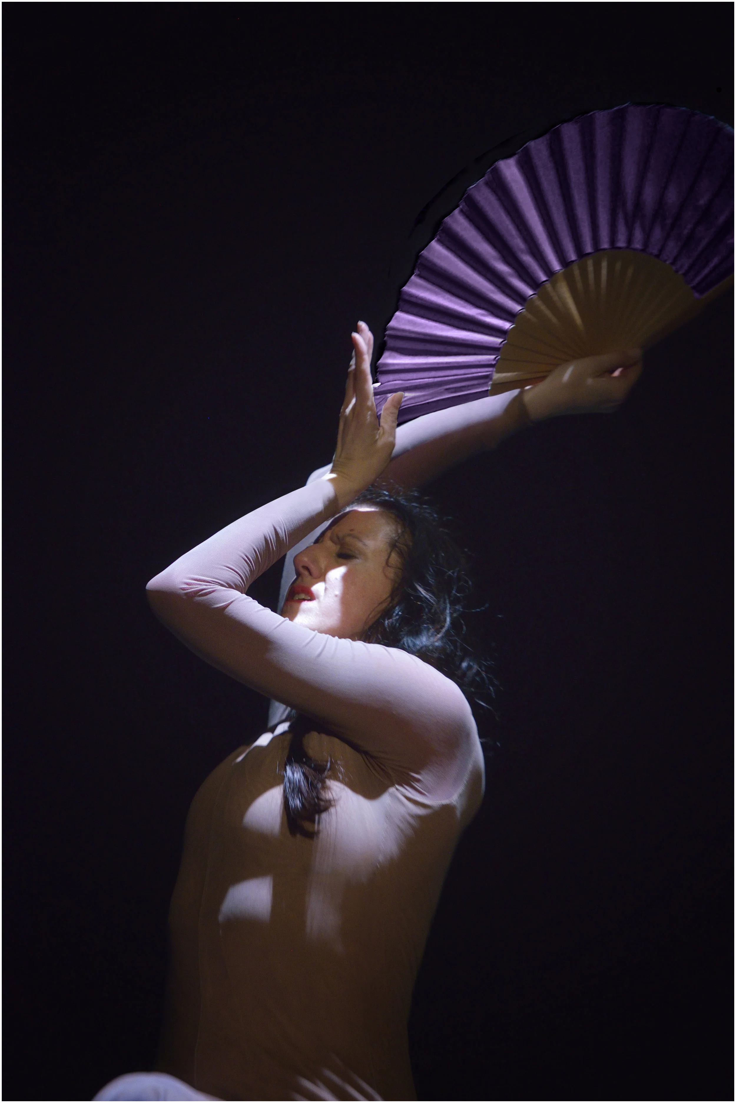 Libro Japón Portada de David Ruano.JPG