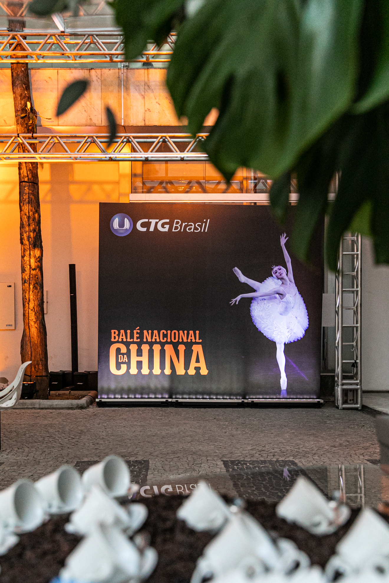 BALÉ DA CHINA BH © Renato Mangolin-- 014.jpg
