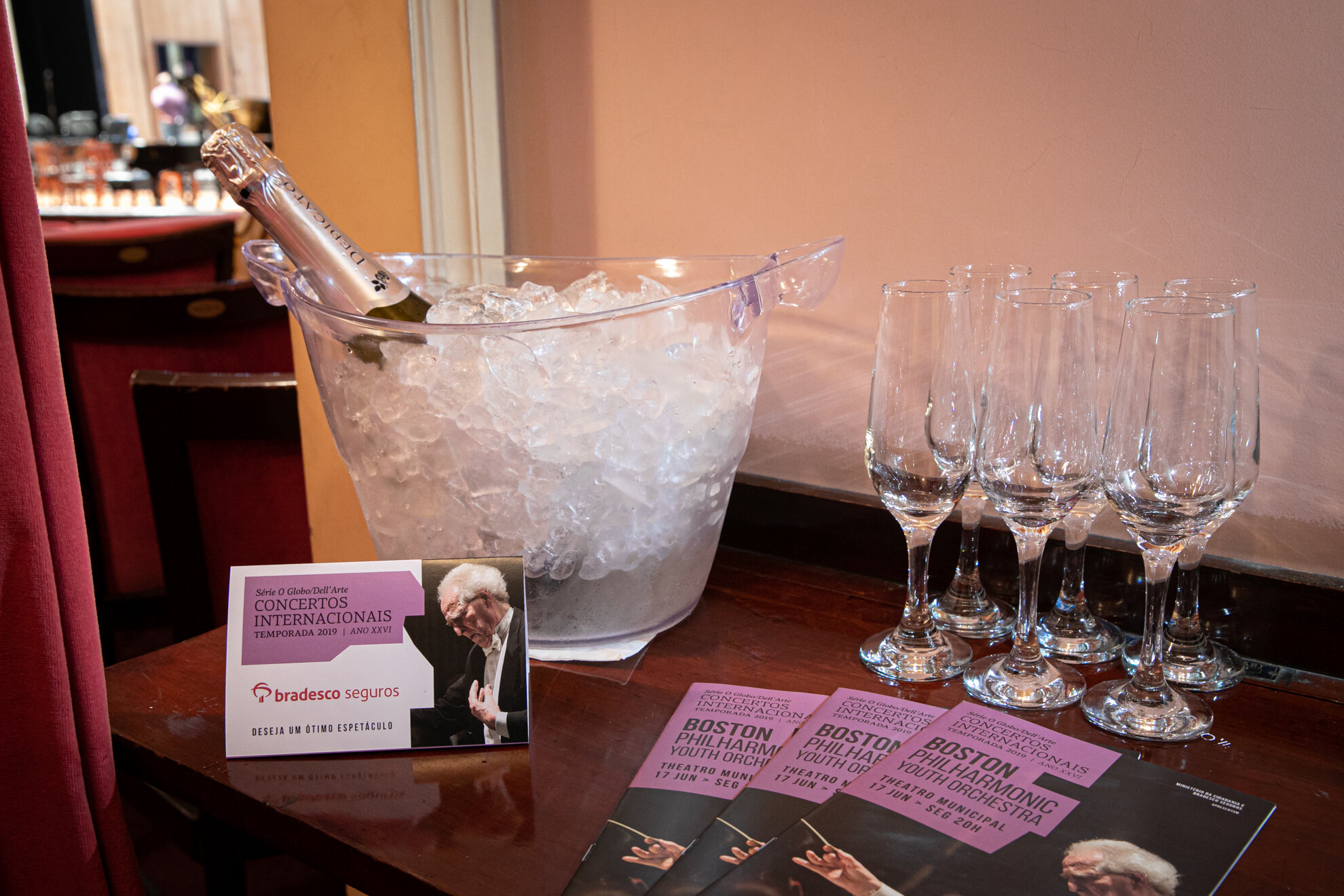 BOSTON PHILHARMONIC YOUTH ORCHESTRA © Renato Mangolin 015.jpg