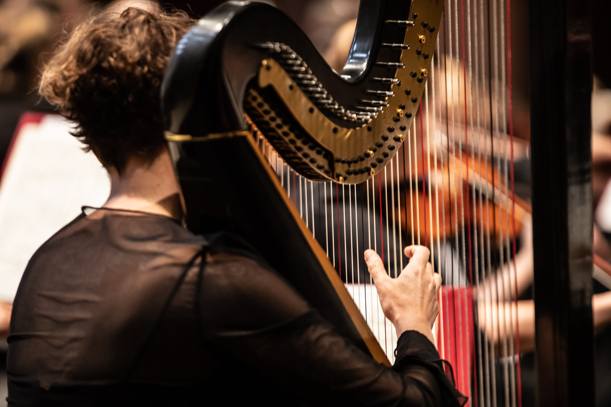 24ORQUESTRA SINF+öNICA DE MONTREAL -® Renato Mangolin 148.jpg