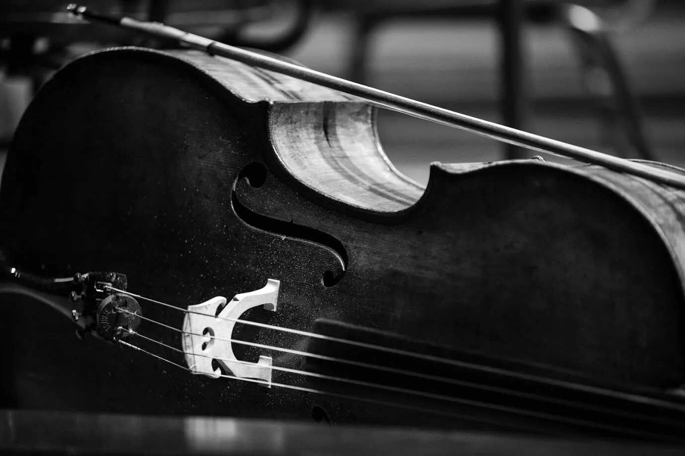ORQUESTRA DE CÂMARA DE MUNIQUE © Renato Mangolin 010.jpg