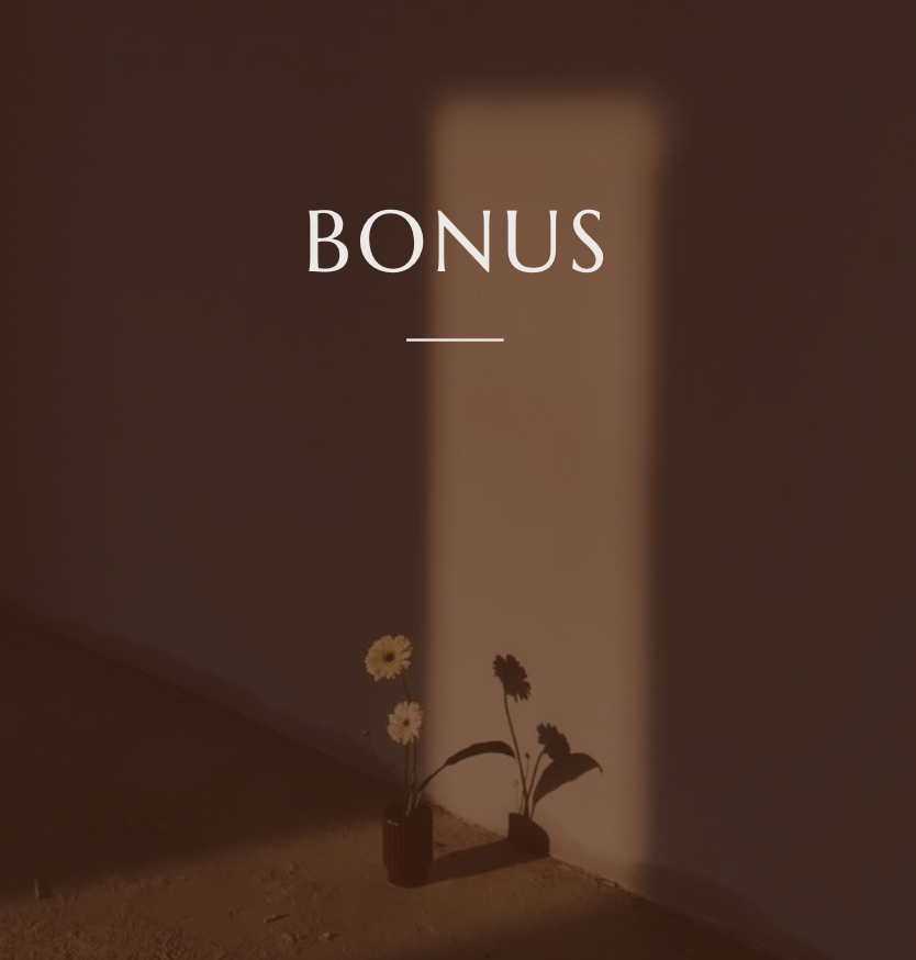 Integración y despedida