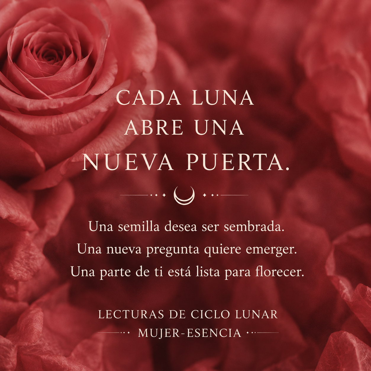 f637a89f-f82c-4922-8693-836e39f144a1.png