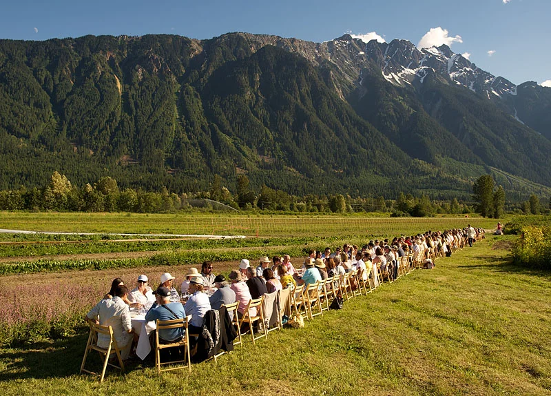"Outstanding in a Field," a traveling dinner group. Photograph by Insight Photography.